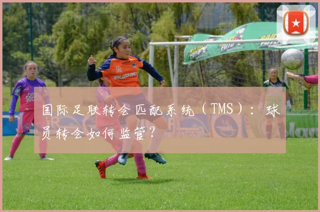 国际足联转会匹配系统（TMS）：球员转会如何监管？